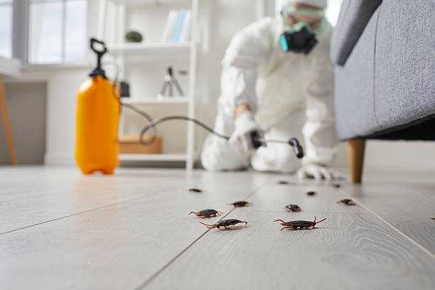 Commercial Kitchen Cockroach Control in Cape May